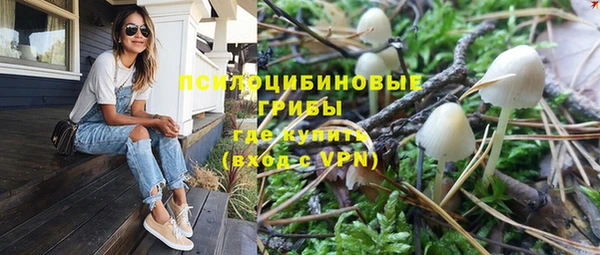 гидра Балабаново